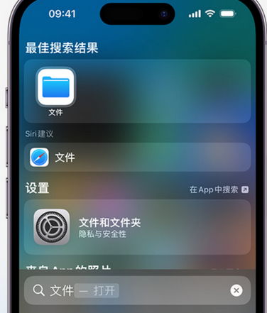 陆良apple维修中心分享iPhone文件应用中存储和找到下载文件 