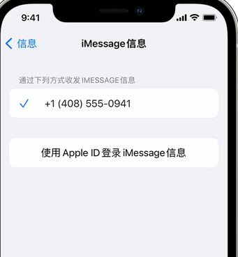 陆良apple维修iPhone上无法正常发送iMessage信息 