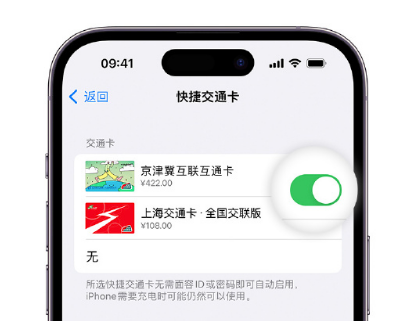 陆良apple维修点分享iPhone上更换Apple Pay快捷交通卡手绘卡面 