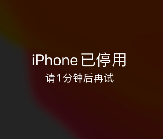 陆良苹果手机维修分享:iPhone 显示“不可用”或“已停用”怎么办？还能保留数据吗？ 