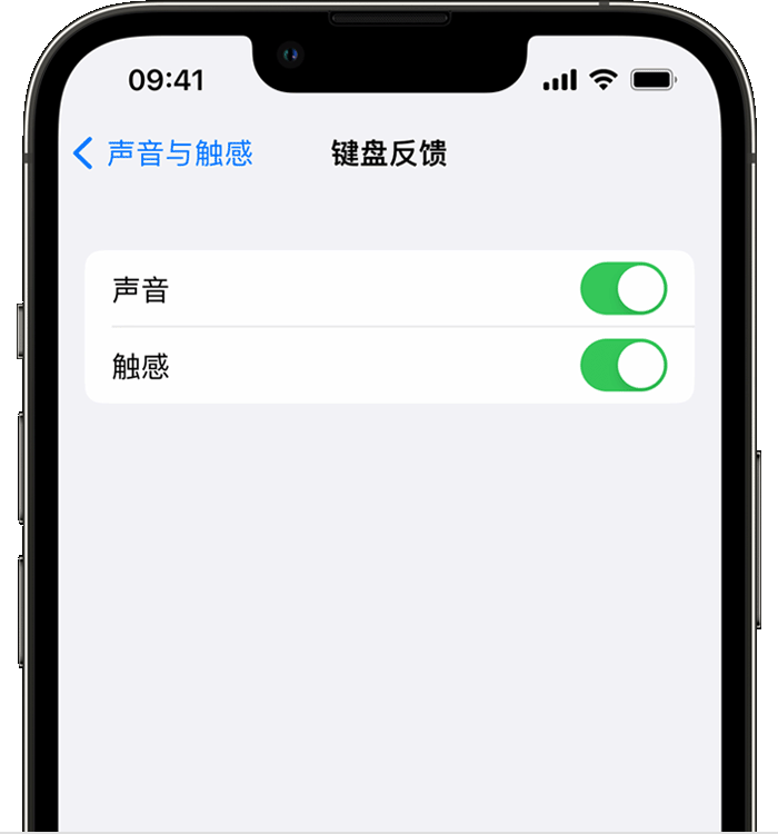 陆良苹果14维修店分享如何在 iPhone 14 机型中使用触感键盘 