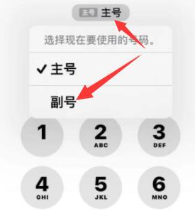 陆良苹果14维修店分享iPhone 14 Pro Max使用副卡打电话的方法 