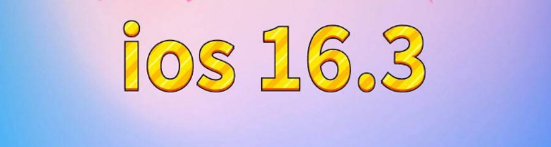 陆良苹果服务网点分享苹果iOS16.3升级反馈汇总 