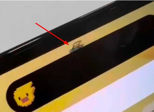 陆良苹果14维修分享iPhone 14 Pro Max灵动岛怎么养宠物 