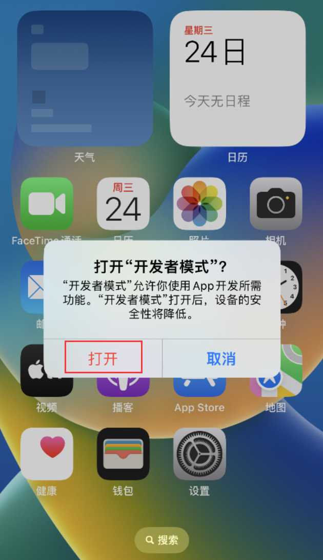 陆良苹果手机维修分享如何打开开发者模式 