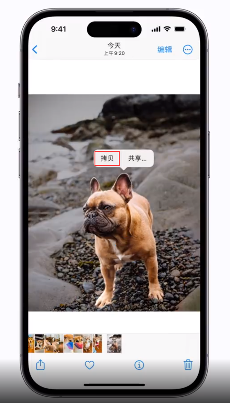 陆良苹果手机维修分享 iOS 16 自带一键抠图功能 