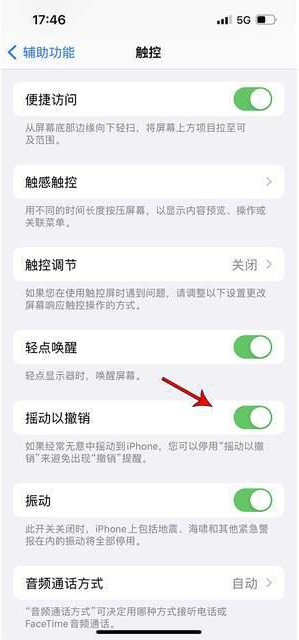 陆良苹果手机维修分享iPhone手机如何设置摇一摇删除文字 
