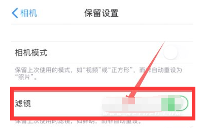 陆良苹果13维修分享iPhone13拍照有绿点是怎么回事 