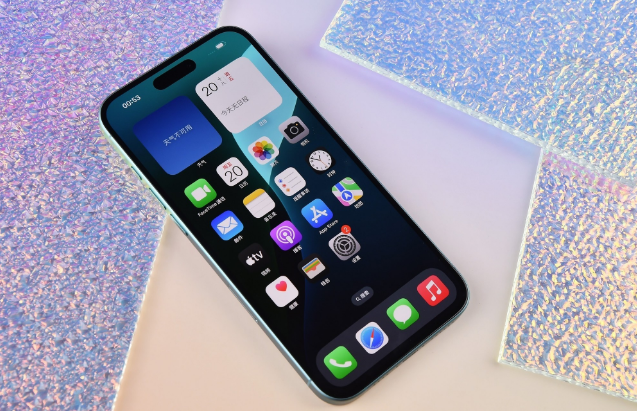 陆良苹果手机维修分享为什么大家不喜欢苹果iPhone 16 Plus 