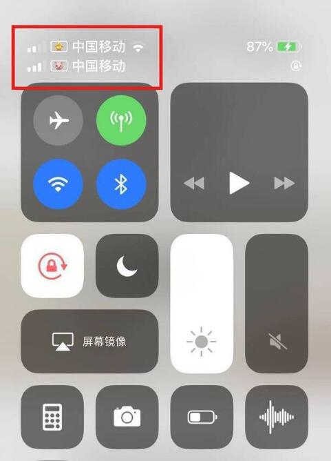 陆良苹果手机维修分享为 iPhone 12 双卡设置标签 