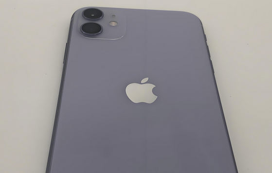 陆良苹果11系统维修分享iPhone11手机系统崩溃无法开机如何解决 