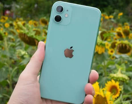 陆良苹果维修点分享iPhone 11锁屏密码认知与使用科普 
